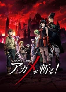 Poster Akame ga Kill!
